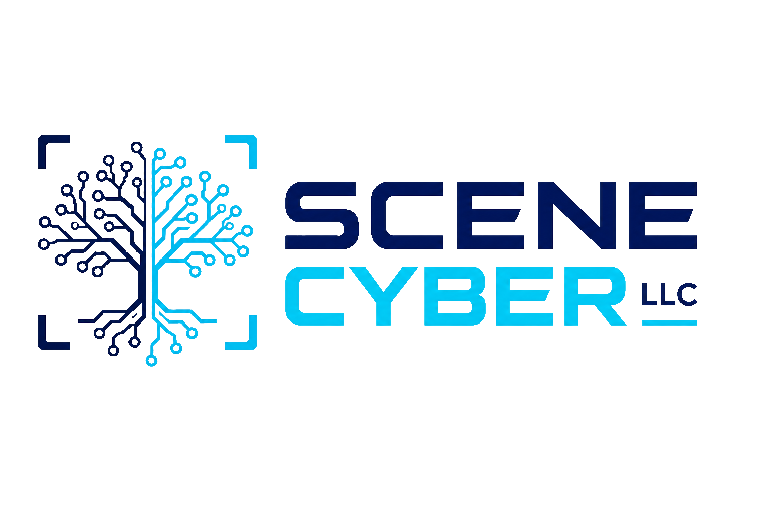 Scene Cyber, LLC